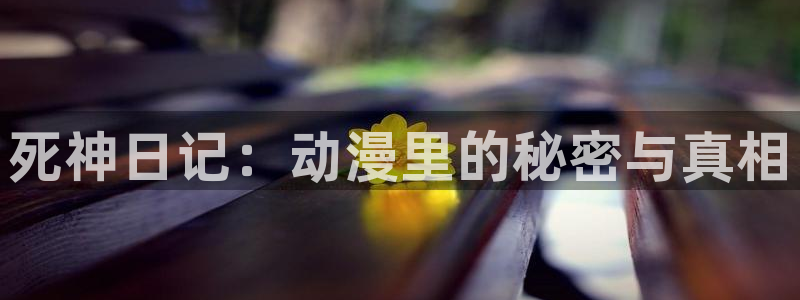 能免费看同人动漫的软件