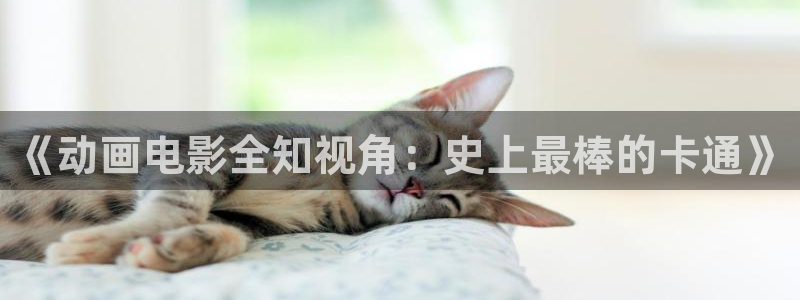同人动漫.top